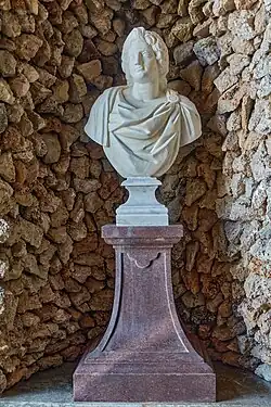 Мужской бюст