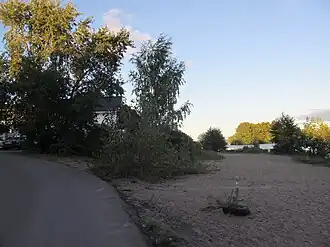 Петровская набережная (Сестрорецк) - берег озера