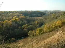 Долина реки выше моста на дороге Ярославль-Тутаев