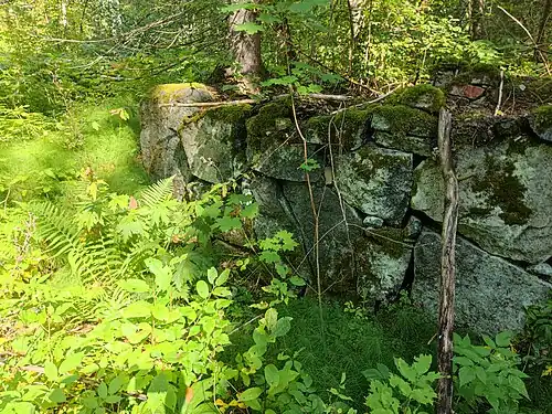 Руины одного из производственных зданий (2024 г.)