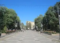 Площадь Кирова Аллея роз