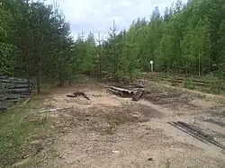 Разобранные боковые пути. Вид в сторону ст. Брусничная.