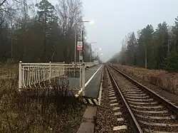 Вид в сторону ст. Куолемаярви.