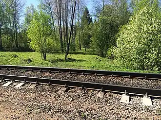 Вид бывшего остановочного пункта. Переезд