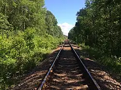 Вид в сторону ст. Питкяранта.