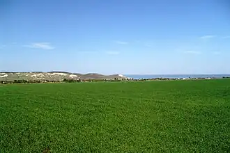 Подвальское раздолье