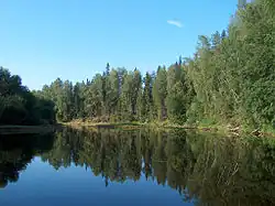 Река Подюга близ деревни Дьяковская