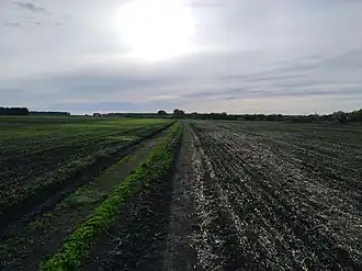 Поле на котором располагалась д. Трусовка