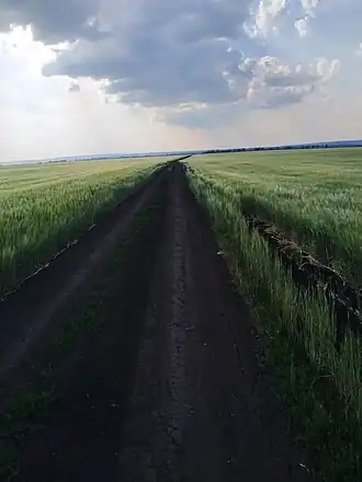 Поле, на котором располагалось село Большая Танеевка