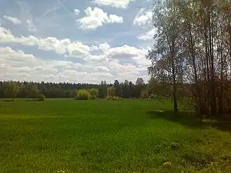 Поле у деревни Вишневка, Бобруйский район