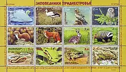 На блоке марок «ПМР», 2013 г.