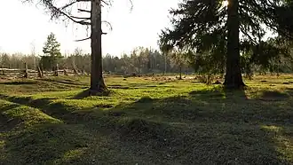 Природа Кильмези