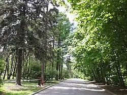 На пути к смотровой площадке