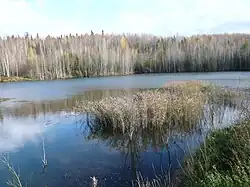 Пруд на реке Лёнва