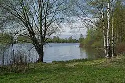 Пруд на реке Яхте