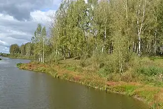 Пруд у села