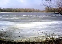 Низовье Болды (Прямая Болда) 2 марта 2013 года