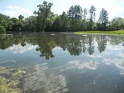 река в селе Подгорное