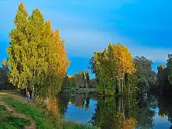 Разлив реки Кобринки в посёлке Кобринское