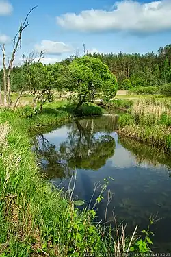 Река Колпита