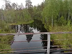 Вид с железнодорожного моста.