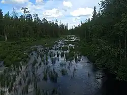 Вид с автомобильного моста против течения