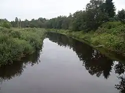 Большой Тудер у посёлка Радилово