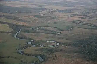 Вихра в районе урочища «Тетеринки»