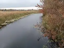 Река в хуторе Беляевка