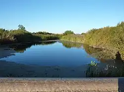 Нижнее течение Гумбейки около посёлка Первомайский в сентябре 2012 года