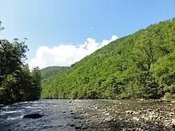 Единка в среднем течении