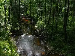 Вид на нижнее течение реки Званица около устья в сентябре 2009 года