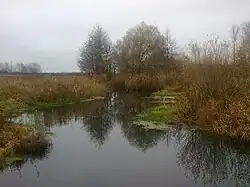 Река Изовка в Советском