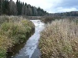 Река Лёнва в среднем течении