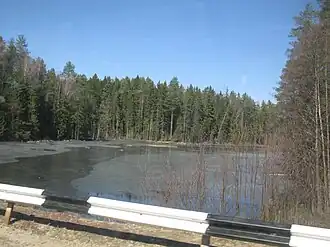 Река Лутовня во время разлива