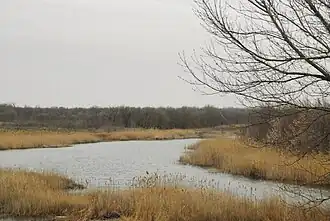 Река Молочная в районе села Тамбовка