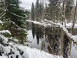 Река Оредеж зимой в районе пос. Сиверское