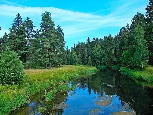 Река Оредеж с Кезевского мостика в Сиверской