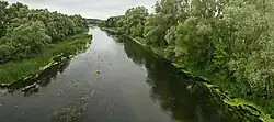 Вид на среднее течение Оскола с моста около Афоньевки летом 2013 года