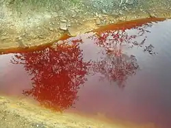 Воды реки Сак-Элга