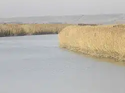 А. Зеленин. Река Сал в районе хутора Золотарёвский