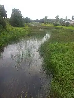 Река Синяя в Красногородске. Вид на север с моста ул. Советской. Слева видны валы городища.