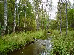 Река Сосновка в Сосново