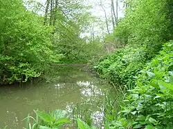 Супс в районе посёлка Отрадного