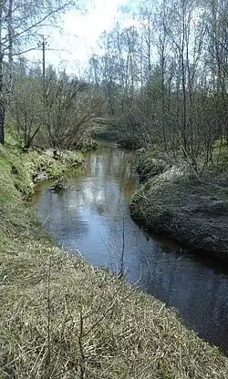 Сюткес в Муромцево