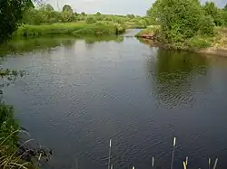 Река Сява летом 2012 года