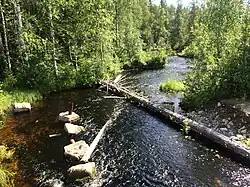 Вид по течению