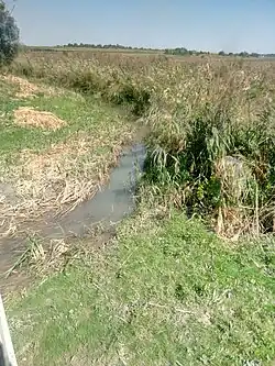 Уташ в месте пересечения трассой А290