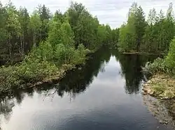 Вид с автомобильного моста