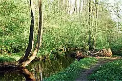 Река Хрипань ниже Кратовского пруда в Кратово